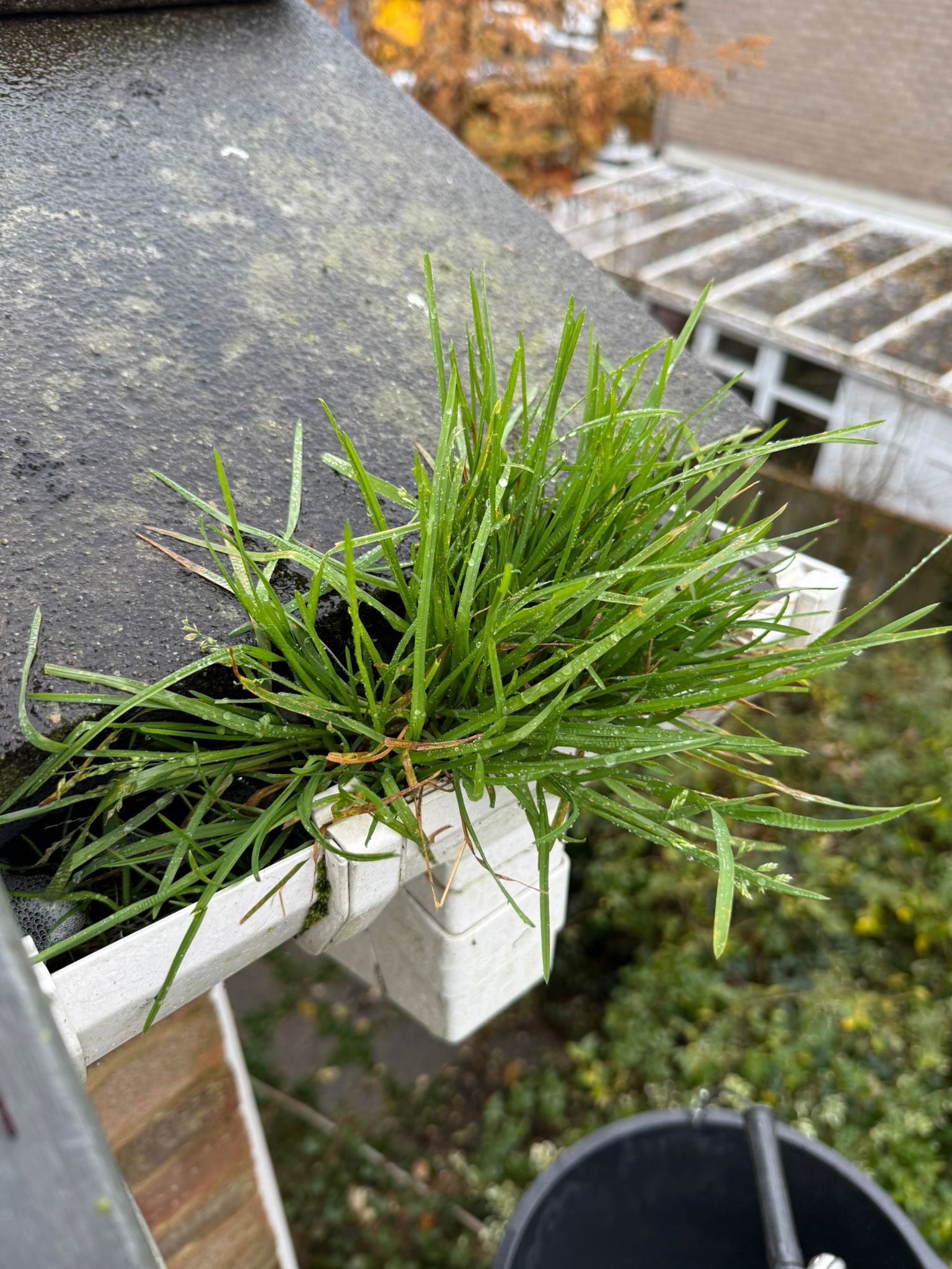 Blocked gutter downpipe  - Whiston Gutter Clearance is the solution!